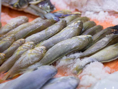 进口水产品广州机场清关代理,进口水产品机场清关,进口水产品清关 进口水产品广州机场清关代理,进口水产品机场清关,进口水产品清关