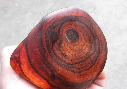 大红酸枝原木进口报关 大红酸枝原木进口报关