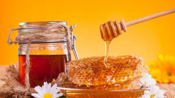 蜂蜜进口报关 蜂蜜进口报关