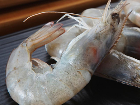 3白虾深圳机场进口代理清关,白虾深圳机场进口清关,白虾机场进口清关 3白虾深圳机场进口代理清关,白虾深圳机场进口清关,白虾机场进口清关