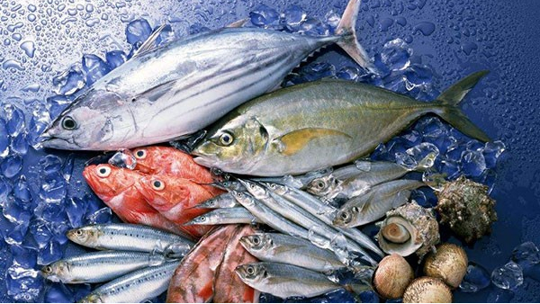 东莞水产品进口报关代理 东莞水产品进口报关代理