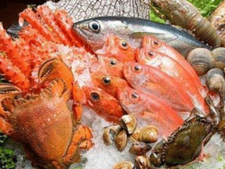 海鲜进口机场清关,海鲜进口机场清关代理,海鲜进口清关 海鲜进口机场清关,海鲜进口机场清关代理,海鲜进口清关