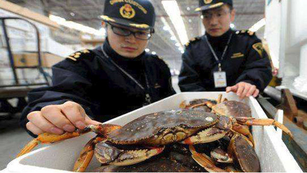 海鲜进口 海鲜进口