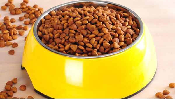宠物粮食 宠物粮食
