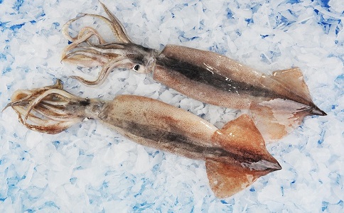 鱿鱼进口报关 鱿鱼进口报关