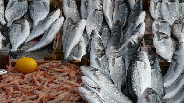 水产品进口报关 水产品进口报关