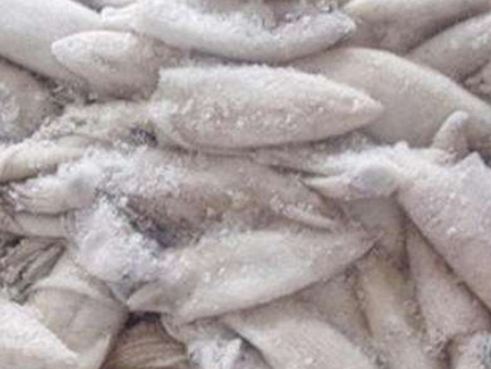 深圳盐田进口清关冷冻鱿鱼,深圳盐田进口清关,深圳进口清关 深圳盐田进口清关冷冻鱿鱼,深圳盐田进口清关,深圳进口清关