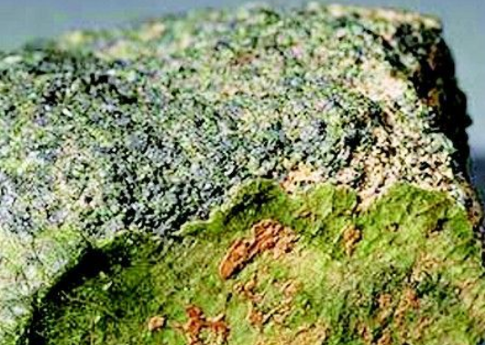 【进口案例】南非绿岩石南沙港进口报关清关