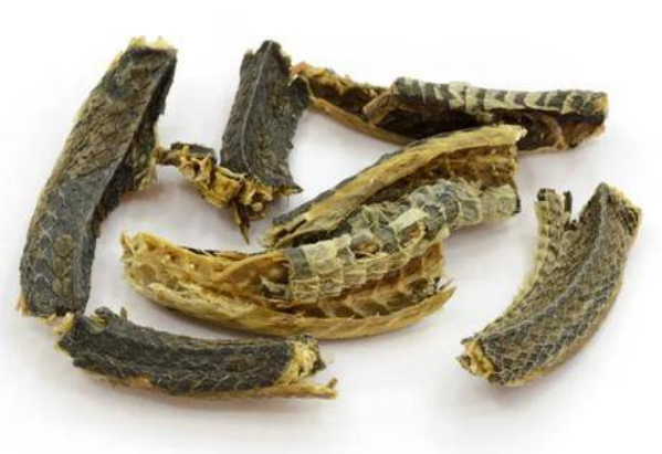 乌梢蛇进口报关清关流程