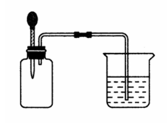 【进口案例】进口德国混合气体在上海机场报关清关