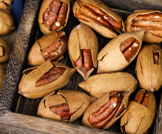 海关总署关于巴西碧根果输华检验检疫要求的公告解读