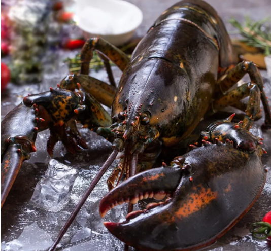 解读 |海关总署关于进口波兰野生水产品卫生要求的公告