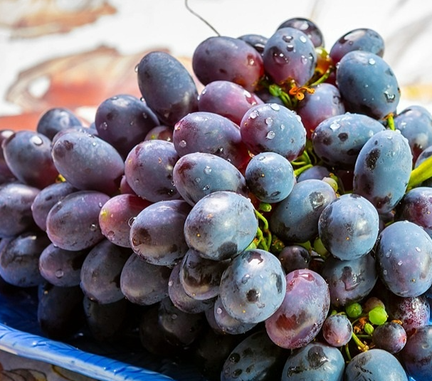 植物检疫政策知多少丨进口秘鲁鲜食葡萄植物检疫要求解读