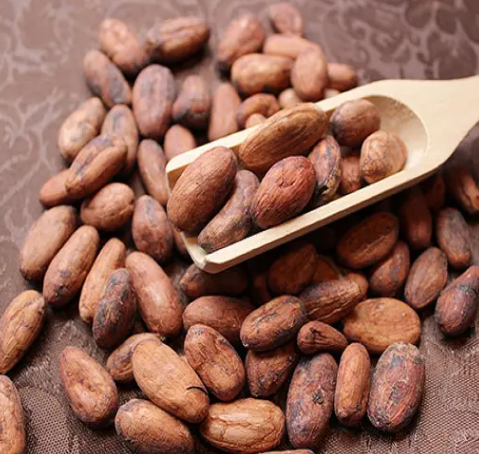 政策解读丨关于进口所罗门群岛咖啡豆、可可豆植物检疫要求的公告