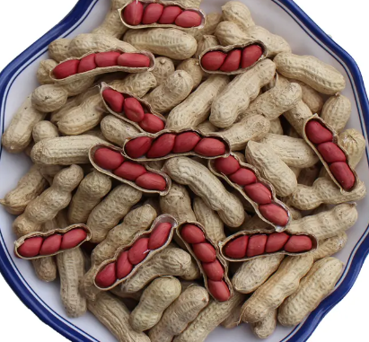 政策解读丨关于进口尼日利亚花生植物检疫要求的公告