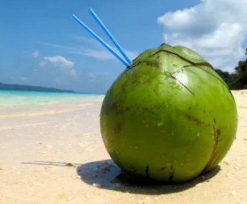 政策解读 | 海关总署关于进口越南鲜食椰子植物检疫要求的公告