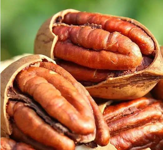 政策解读丨关于秘鲁碧根果输华检验检疫要求的公告