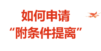 【实操指南】进口矿产品申报指南——如何申请“附条件提离”
