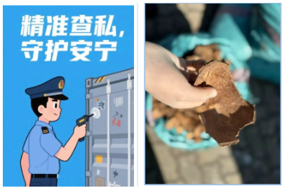 【报关知识】进口椰壳碎核心监管要点