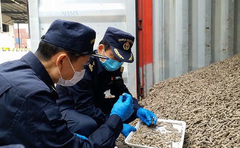 木薯渣进口报关