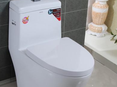 马桶盖东莞太平进口报关,马桶盖东莞进口报关,马桶盖进口报关