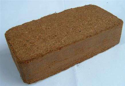 椰糠进口报关代理