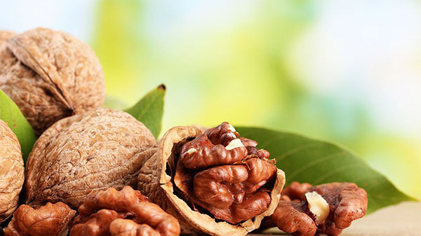 佛山核桃进口报关代理