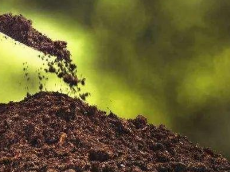 肥料进口东莞虎门港报关,肥料进口东莞报关,肥料进口报关