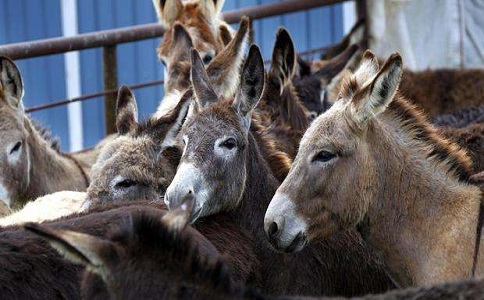 微信图片_20200102200704