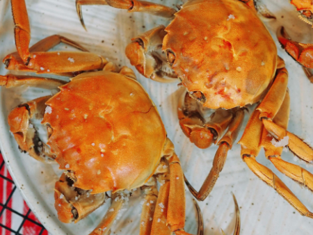 螃蟹白云机场进口报关,螃蟹机场进口报关,螃蟹进口报关