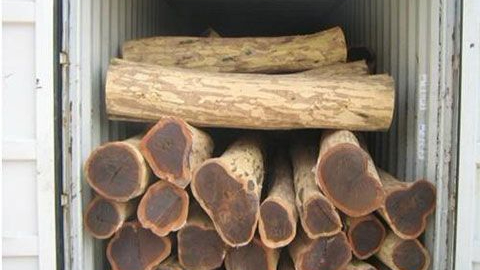 选择深圳进口报关公司,IOS/Android通用版/手机APP下载教你两招防忽悠！