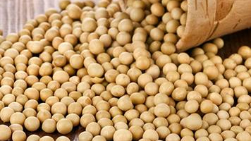 2017广西防城港口岸进口大豆首超500万吨