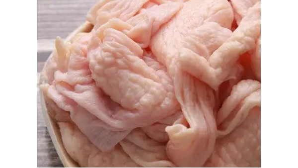 深圳食品进口清关之冷冻鸡皮报关服务流程