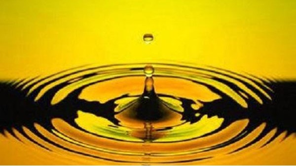 上海润滑油进口报关